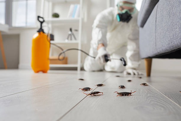 Trusted Fumigation Services service in Princess Anne, MD - Nex Pest Control