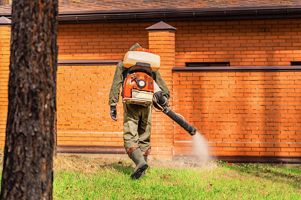 Trusted Rodent Control service in Princess Anne, MD - Nex Pest Control